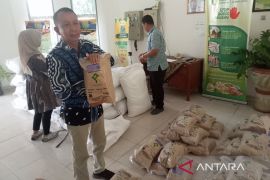 Pemkab Bantul menyalurkan bantuan benih padi kepada 74 gapoktan