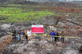 Kemenhut segel dua konsesi terkait kebakaran hutan dekat perbatasan Malaysia
