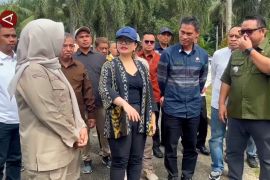 Wamendiktisaintek tinjau lokasi pembangunan sekolah garuda di Sultra