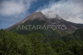 Gunung Merapi, pariwisata, emas hitam, dan seduhan kopi