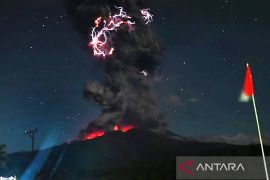 BNPB minta warga keluar dari zona bahaya Gunung Lewotobi