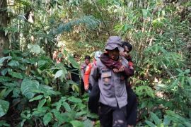 Tim berhasil evakuasi pendaki tersambar petir di Gunung Bawang