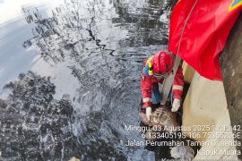 Warga temukan jasad tanpa identitas mengambang di Penjaringan 