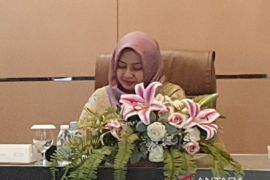 BKHIT Sumsel sertifikasi 11 ton udang 'black tiger' siap ekspor ke Jepang