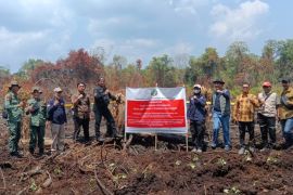 Tiga perusahaan dengan areal gambut terbakar di Riau disegel Kemenhut