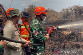 Hujan bantu padamkan kebakaran lahan di Rokan Hilir Riau