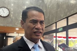 Warga khawatirkan kualitas beras di ritel, Mentan: Tak perlu takut