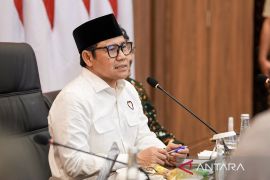 Menko Muhaimin tanggapi fenomena pengibaran bendera One Piece