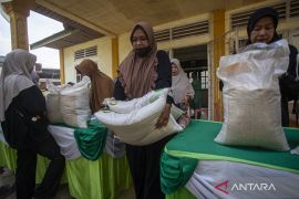 Bapanas: Sinergi pemerintah-dunia usaha bangun ekosistem pangan kuat