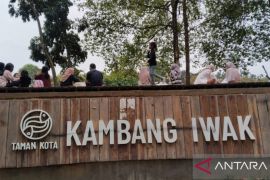 Pemkot Palembang rapikan kawasan wisata Taman Kambang Iwak