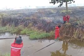 Balai Dalkarhut temukan kebakaran lahan di Kabupaten Ogan Ilir Sumsel