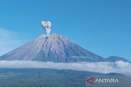 Gunung Semeru erupsi lima kali dengan tinggi letusan hingga 1 km