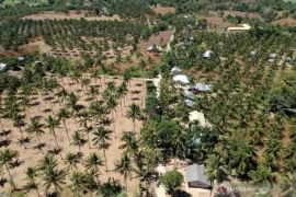 Disnakertrans DIY mengikuti perubahan lokasi penempatan calon transmigran