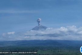 Letusan Gunung Semeru capai 1.000 meter di atas puncak saat erupsi 