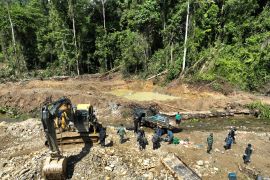 Kemenhut hentikan tambang emas ilegal di kawasan hutan Sulteng