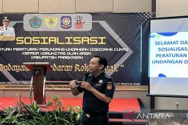 Bea Cukai Madura sita 30 juta batang rokok ilegal