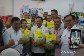 Berapakah persentase ideal cadangan beras pemerintah?