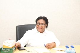 Wamendagri minta enam provinsi Papua percepat eliminasi malaria