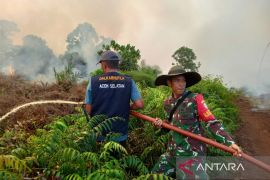 BNPB: Karhutla masih membara hanguskan 300 hektare di Sumatera Utara