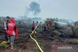 Kebakaran lahan seluas lima hektare di Nagan Raya Aceh sudah padam