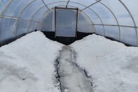 DKP DIY kenalkan proses pembuatan garam bagi generasi muda