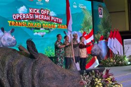 Kemenhut mulai Operasi Merah Putih untuk translokasi badak Jawa
