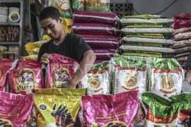 Pengamat: Pulihkan kepercayaan pelaku usaha beras atasi kelangkaan