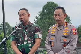 Panglima TNI imbau masyarakat jangan mudah terprovokasi di tengah marak aksi demo