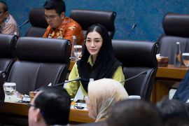 Anggota DPR soroti digitalisasi pariwisata dan penguatan manufaktur
