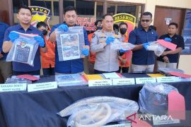 Empat WNA China ditangkap karena terlibat tambang ilegal di Jayapura