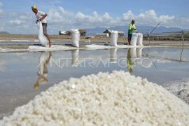Swasembada garam di ujung negeri