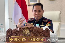 Soal tanggul KCN di Cilincing, KKP sebut telah memiliki izin PKKPRL