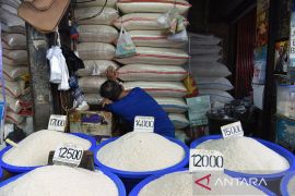 Bapanas: Harga beras medium turun jadi Rp13.637/kg, gula Rp18.050/kg