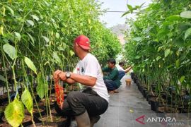 Jaktim gencarkan 