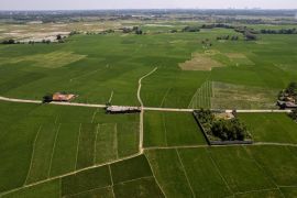Album Asia: Mengintip pengembangan sawah di Jawa Barat