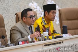 Komisi II minta Mendagri hentikan efisiensi transfer pusat ke daerah