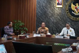 Menteri LH siap kawal pembangunan kawasan swasembada pangan di Merauke