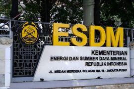 Pakar sebut pemerintah tengah tata pasar BBM agar lebih sehat