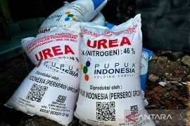 Mentan pastikan stok pupuk subsidi aman demi perkuat ketahanan pangan
