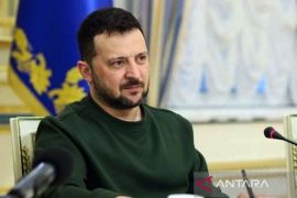 Zelenskyy tolak 