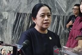 Puan: Pidato Prabowo di PBB adalah momen yang ditunggu dalam 10 tahun