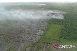 BPBD: Kebakaran lahan di Aceh Barat meluas hingga 12,8 hektare
