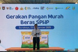 Mentan: Pemerintah sangat berupaya jaga stok pangan demi masyarakat