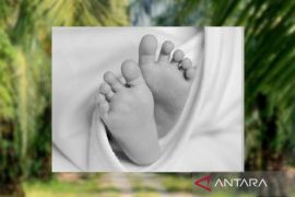 Geger penemuan jasad bayi, PT HSL dukung polisi usut tuntas