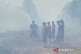 BPBD Aceh Barat sekat sebaran api cegah meluasnya karhutla