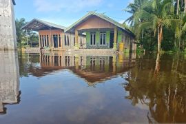 BNPB: Banjir masih rendam rumah di Seruyan hingga hampir satu meter