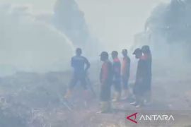 BPBD: Sebagian lokasi karhutla di Aceh Barat telah padam