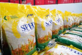 Bulog: Kemasan seragam beras SPHP mudahkan distribusi hingga jaga kualitas produk