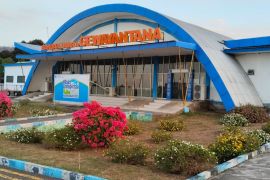 Bandara Gewayantana Larantuka tutup sementara akibat abu vulkanik
