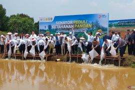 Ketua DPD RI: Kita harus bantu presiden wujudkan kedaulatan pangan